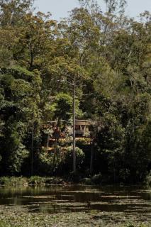 Sun Suite - tiny home treehouse - Kuranda - 2