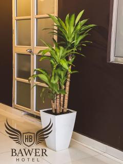 Hotel BAWER - Arauca - 1
