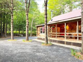 Stylish Forest Lodge with Large Hot Tub, Firepit and Fireplace minutes to Gore Mountain - North Creek - 9