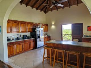 Monks Hill Villa - Falmouth - 3