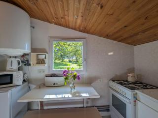 Chambres d'hôtes avec jardin près des châteaux de la Loire - FR-1-591-666 - Châtillon-sur-Indre - 8