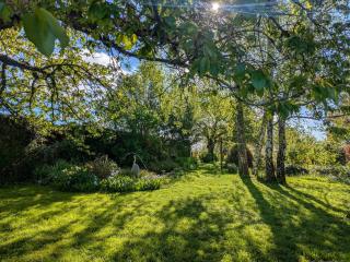 Chambres d'hôtes avec jardin près des châteaux de la Loire - FR-1-591-666 - Châtillon-sur-Indre - 7