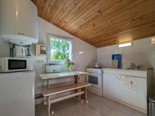 Chambres d'hôtes avec jardin près des châteaux de la Loire - FR-1-591-666 - Châtillon-sur-Indre - 3