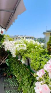 Shiraz Trio Apartament - Varsovie - 4