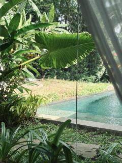 Villa Tenease - Ubud - 2