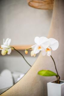 Stylish 2BR Villa few minutes to the beach - Canggu - 1