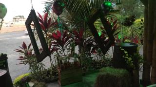 Torettos - Yumbo - 9