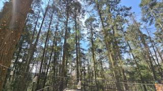 Cabaña Titanic Excelente lugar para descansar - 9