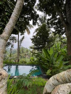 House Of Joy By BCG - Ubud - 1