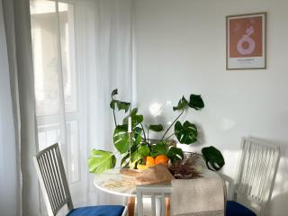 Stilvolle großzügige Designer Wohnung - Hochheim am Main - 5