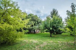 Szalmaszál Vendégház - Szarvas - 2