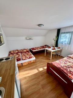 Bamboo Rooms - Studios - Štúrovo - 7