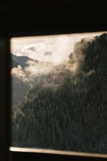 Chalet Châtaigne - Châtel - 9