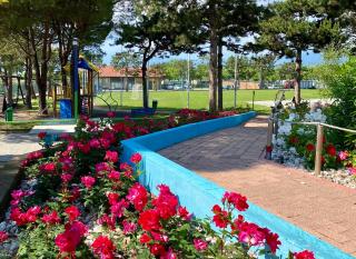 Camping Park delle Rose - Lazise - 1
