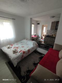 Apartman Bulic - Žabljak - 9