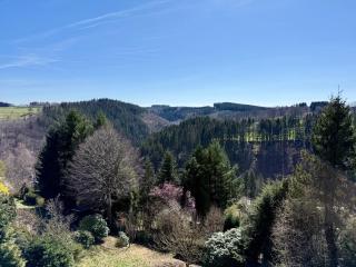 Haus Panoramablick - Ferienwohnung 1 - Monschau - 7