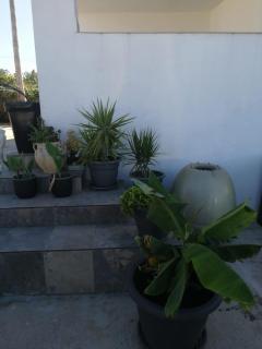 Finca Laxuan - Cadice - 5