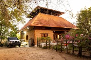 House with a pool in Hacienda Monte Tabor - - 7