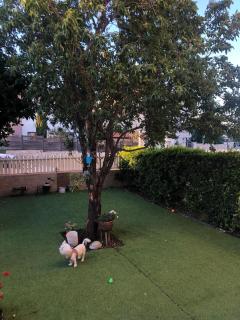 LTD Hadas Garden apartment - Tiberias - 5