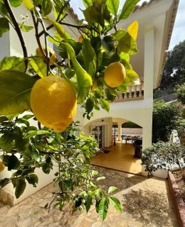 Poolvilla Patricia - Camp de Mar - Andraitx - 3