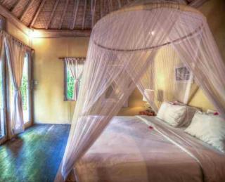 Greengo Private POOL VILLA - Gili Meno - 2