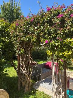 Cannes centre avec parking et jardin - Cannes - 7