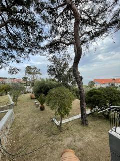 Κτήμα Βαρβαγιάννη - Plomarion - 5