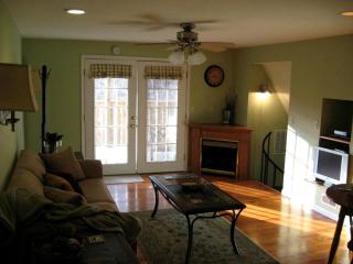 Spacious Cabin with a Hot Tub in the Woodlands near Byer, Ohio - - 6