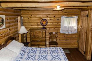 Pet-Friendly Cabin Retreat near Great Smoky Mountain National Park, Tennessee - Walland - 3