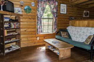 Pet-Friendly Cabin Retreat near Great Smoky Mountain National Park, Tennessee - 9