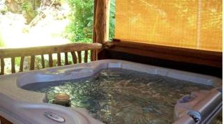 Romantic Log Cabin near Blue Ridge Mountains in Hot Springs, North Carolina - Hot Springs - 4