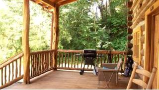 Romantic Log Cabin near Blue Ridge Mountains in Hot Springs, North Carolina - Hot Springs - 2