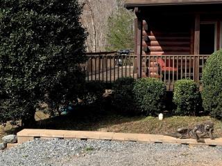 Rutherfordton Vacation Rental for North Carolina Getaways - Tryon - 0