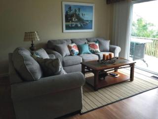 Waterfront Cottage Rental with a Dock on the San Sebastian River, Florida - Sebastian - 6