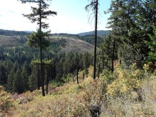Cute Off-Grid Glamping Cabin Rental in Idaho for Relaxing Nature Getaways - Worley - 1