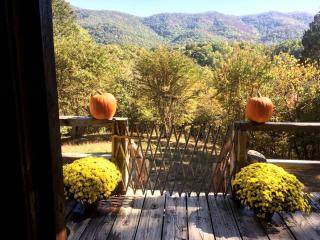 Cozy Vacation Rental on a Working Ranch near Knoxville, Tennessee - Walland - 3