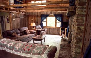 Pet-Friendly Cabin Retreat in the Ozarks of Scenic Newton County, Arkansas - Jasper - 3