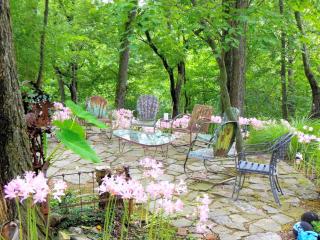 Gorgeous Retreat for a Romantic Getaway in Eureka Springs, Arkansas - Eureka Springs - 5