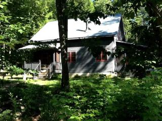 Charming Cottage Rental with Antique Decor in Narrowsburg, New York - Narrowsburg - 1