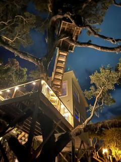 Luxury Treehouse on the San Sebastian River, Florida - Sebastian - 2