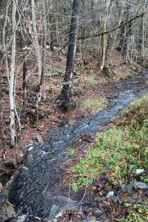 Rustic Safari Tent on a Wonderful Farm Surrounded by Nature for an Amazing Glamping Experience in Otego, New York - 2