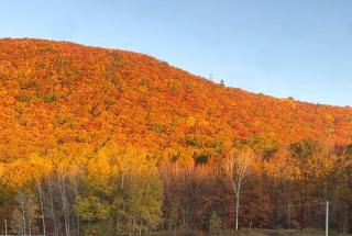Rustic Safari Tent on a Wonderful Farm Surrounded by Nature for an Amazing Glamping Experience in Otego, New York - 1