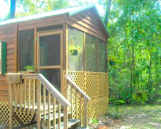 Cozy Cabin Rental on the Santa Fe River near High Springs, Florida - High Springs - 8