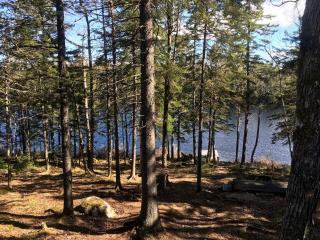 Secluded, Dog-Friendly Lakefront Cabin on Pristine Lake, Maine, for Wonderfully Romantic Getaways to Nature - - 7