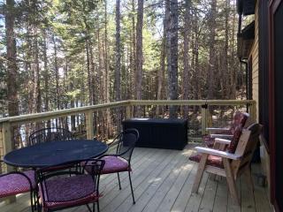 Secluded, Dog-Friendly Lakefront Cabin on Pristine Lake, Maine, for Wonderfully Romantic Getaways to Nature - - 3