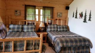 Spacious Mountain Ski Cabin situated on the Grand Mesa, Colorado - Mesa - 2