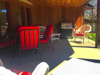 Family-Friendly Getaway near Twin Springs Park and the Upper Iowa River, Iowa - Decorah - 8