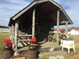 Rustic Cabin Rental on Secluded Farmland near Raleigh, North Carolina - Dunn - 0