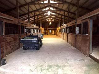 Rustic Cabin Rental on Secluded Farmland near Raleigh, North Carolina - Dunn - 6
