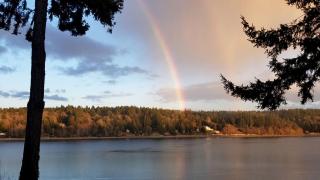 Amazing Sunrise at Coastal Luxury Cabin Rental on Herron Island with Fire Pit and Paddle Boarding near Olympia, Washington - Lakebay - 1